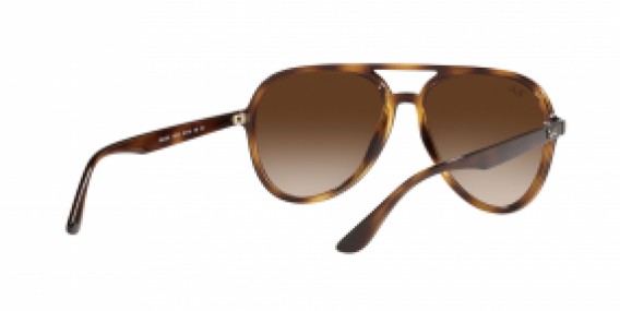 Ray-Ban RB4376 710/13