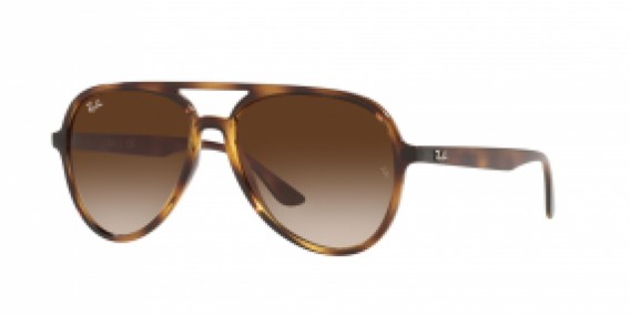 Ray-Ban RB4376 710/13