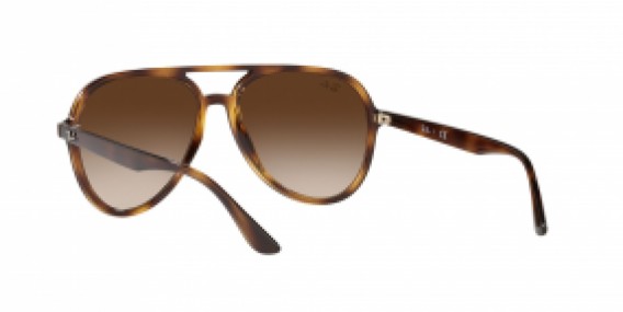 Ray-Ban RB4376 710/13