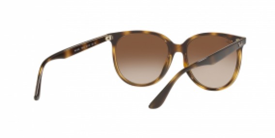 Ray-Ban RB4378L 710/13