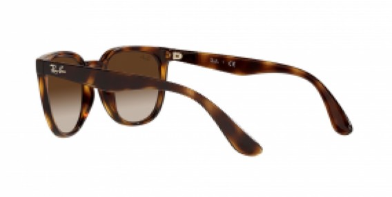 Ray-Ban RB4381I 710/13