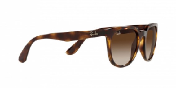 Ray-Ban RB4381I 710/13