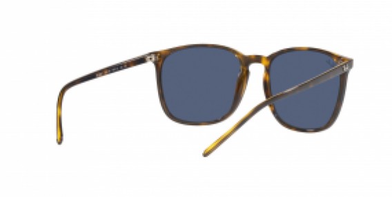 Ray-Ban RB4387 710/80