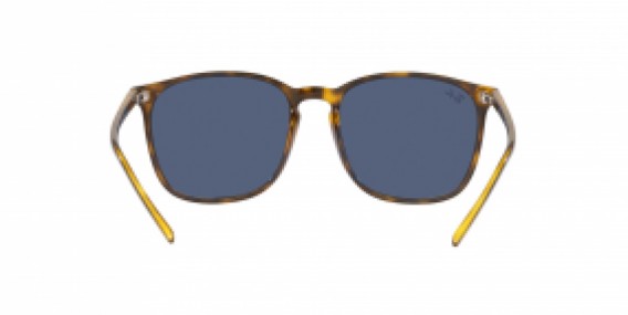 Ray-Ban RB4387 710/80