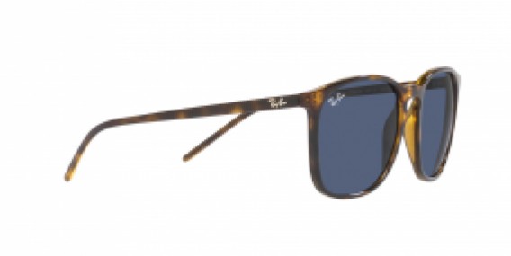 Ray-Ban RB4387 710/80