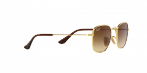 Ray-Ban RJ9557S 223/13