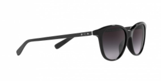 Ralph Lauren RL8198U 50018G