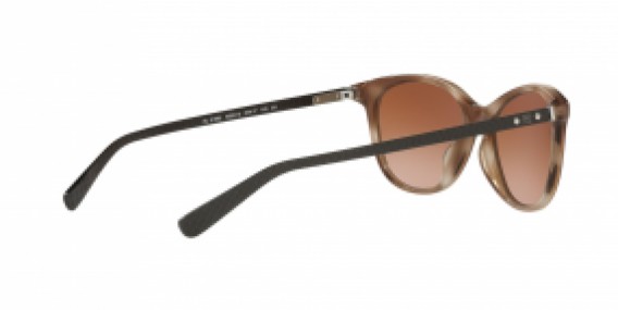 Ralph Lauren RL8198U 602013