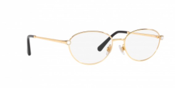 Dolce & Gabbana DG1342B 02