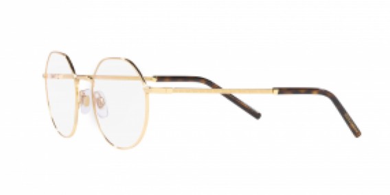 Dolce & Gabbana DG1344 02