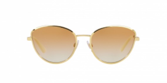 Dolce & Gabbana DG2280 02/2Q