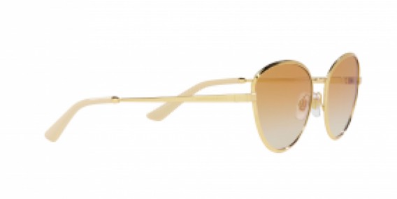 Dolce & Gabbana DG2280 02/2Q