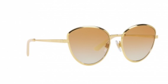 Dolce & Gabbana DG2280 02/2Q