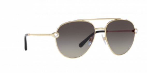 Dolce & Gabbana DG2283B 02/8G