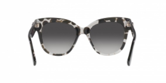 Dolce & Gabbana DG4407 33628G