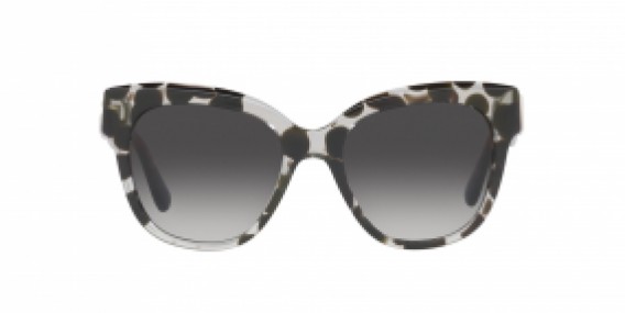 Dolce & Gabbana DG4407 33628G