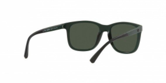 Emporio Armani EA4184 50586R