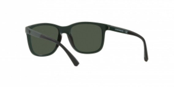 Emporio Armani EA4184 50586R