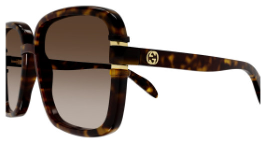 Gucci GG1066S 002