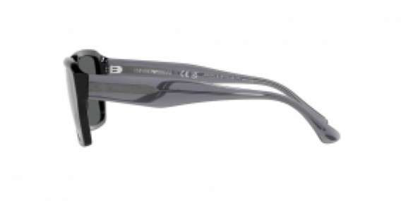 Emporio Armani EA4186 501787