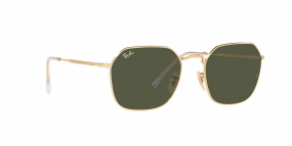 Ray-Ban RB3694 001/31