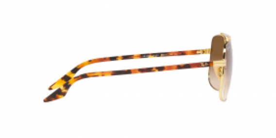 Ray-Ban RB3699 001/51