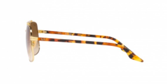 Ray-Ban RB3699 001/51