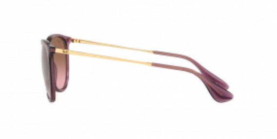 Ray Ban RB4171 659114