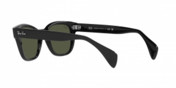 Ray-Ban RB0880S 901/31