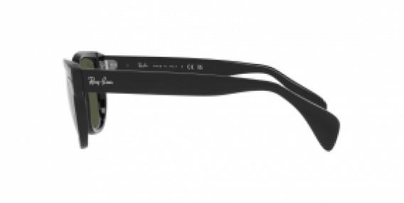 Ray-Ban RB0880S 901/31