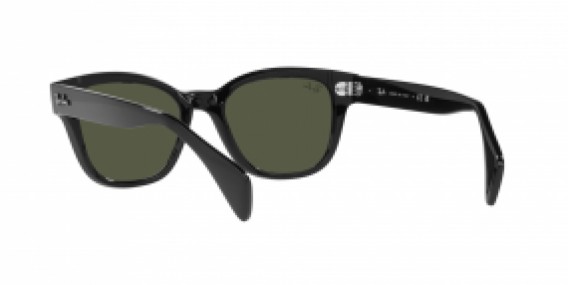 Ray-Ban RB0880S 901/31