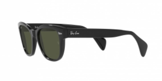 Ray-Ban RB0880S 901/31