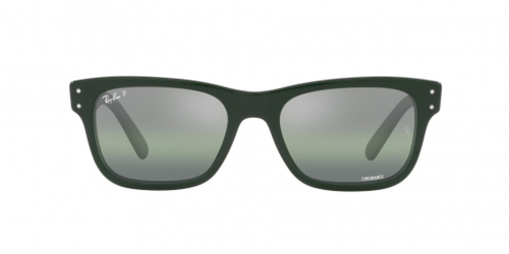 Ray-Ban RB2283 6659G4