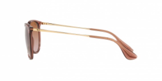 Ray-Ban RB4171 659013