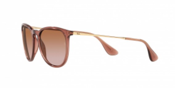 Ray-Ban RB4171 659013