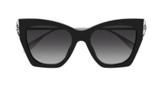 Alexander McQueen AM0375S 001