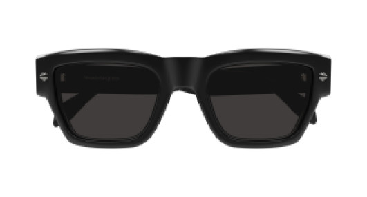 Alexander McQueen AM0409S 001