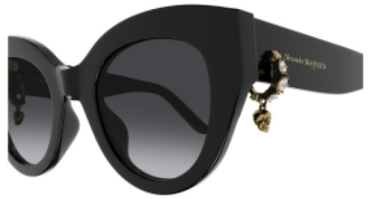 Alexander McQueen AM0417S 001
