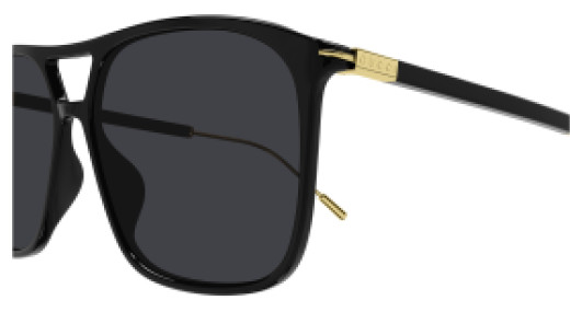 Gucci GG1270S 001
