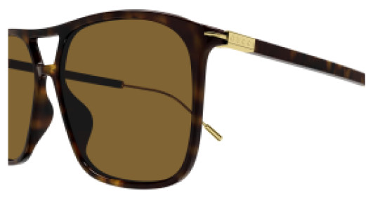 Gucci GG1270S 002