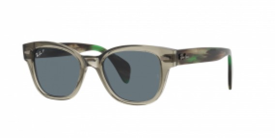 Ray-Ban RB0880S 66353R