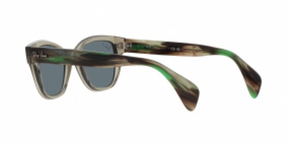 Ray-Ban RB0880S 66353R