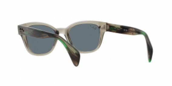 Ray-Ban RB0880S 66353R