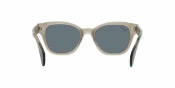 Ray-Ban RB0880S 66353R