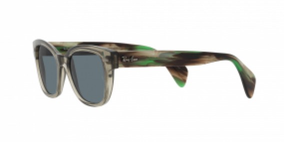 Ray-Ban RB0880S 66353R