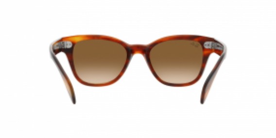 Ray-Ban RB0880S 954/51