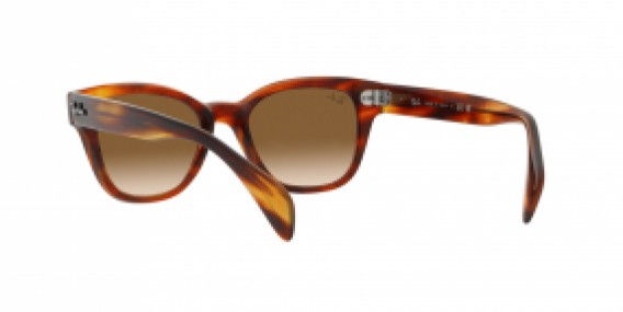 Ray-Ban RB0880S 954/51