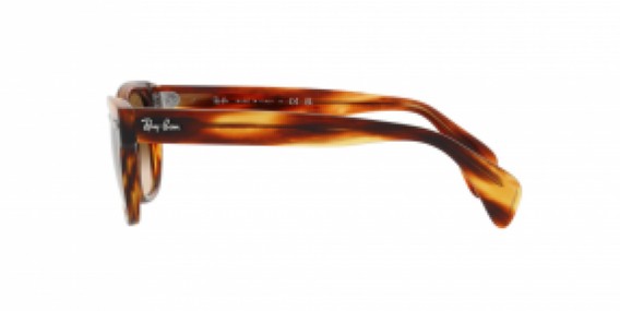 Ray-Ban RB0880S 954/51