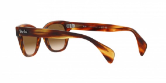 Ray-Ban RB0880S 954/51