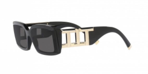 Tiffany&Co. TF4197 8001S4
